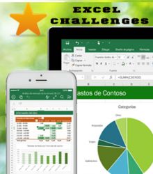 Excel Challenges